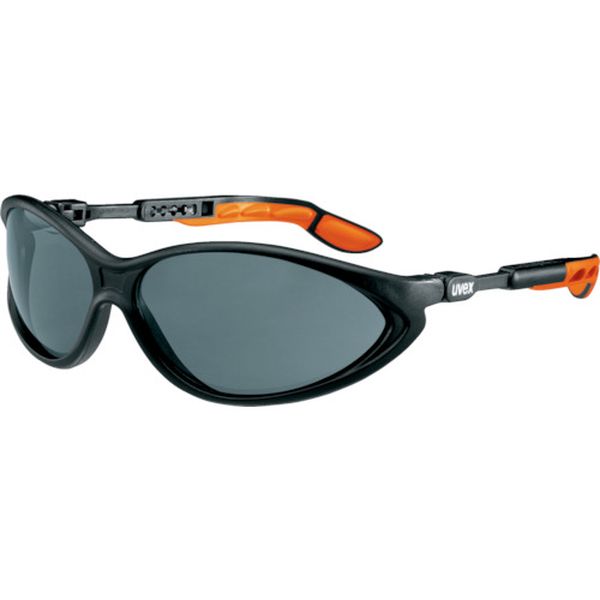 二眼型保護メガネ サイブリック