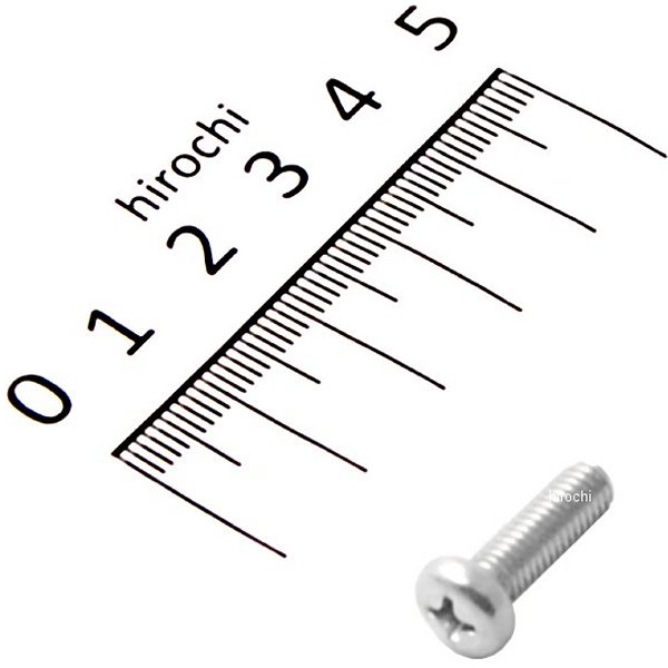 スクリュー パン 5X16 93500-05016-4J