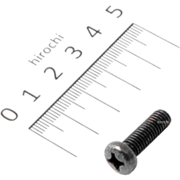 パンスクリュー　6×20 93500-060200G