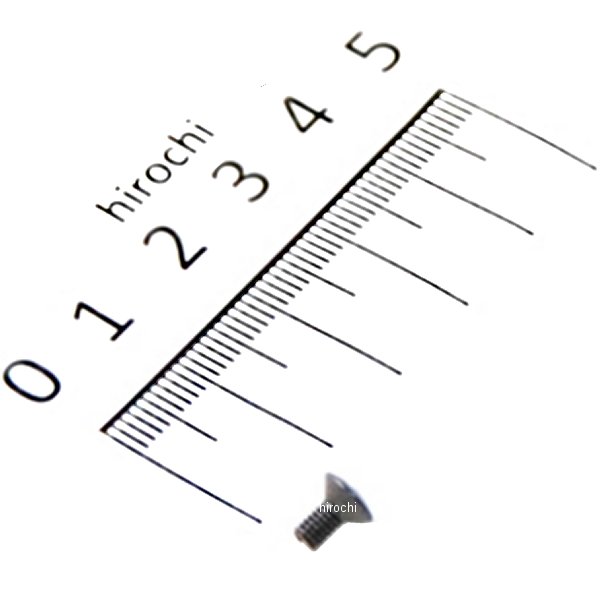 スクリュー オーバル 3X6 93700-03006-0G