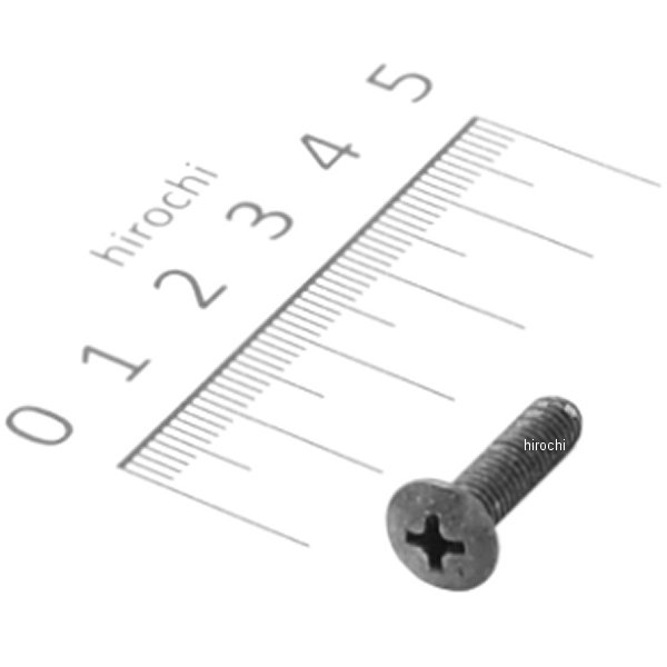 スクリュー オーバル 5×20 93700-05020-0G