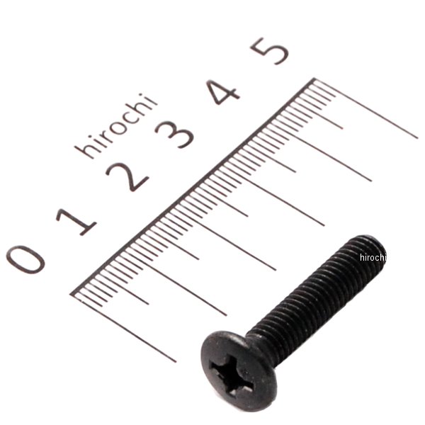 スクリュー オーバル 6X30 93700-06030-0G