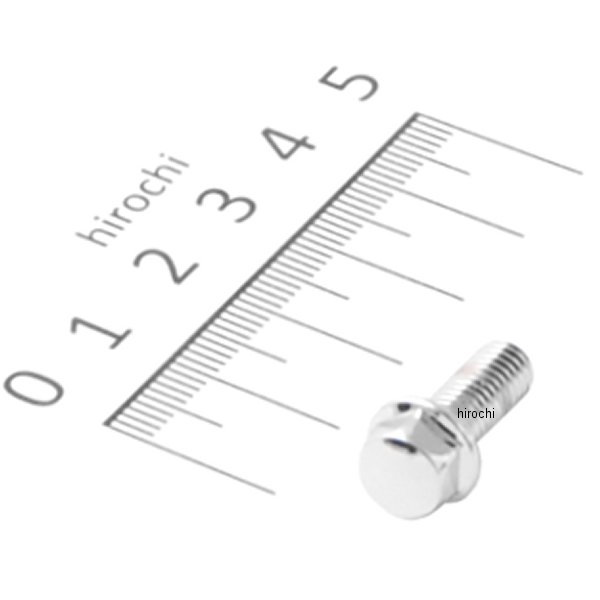 フランジボルト 6×16 96001-0601602