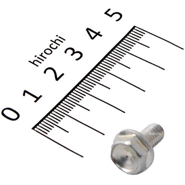 ボルト フランジ 6X12 96300-0601200