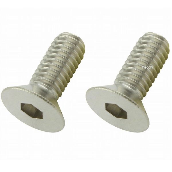 ポッシュ POSH 皿キャップボルト M6 15mm 2本入り ステンレス