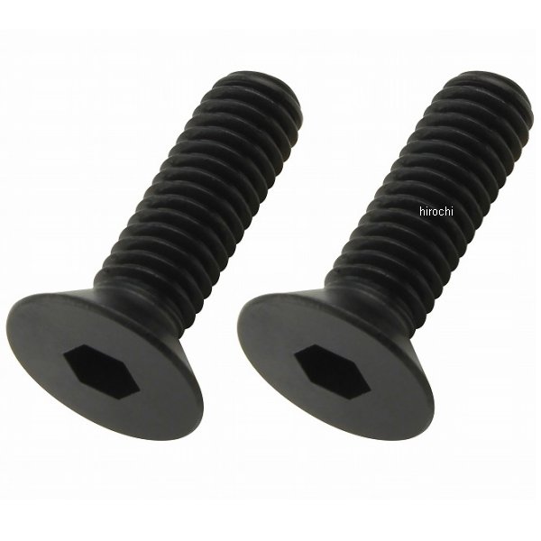 ポッシュ POSH 皿キャップボルト M6 20mm 2本入り 黒
