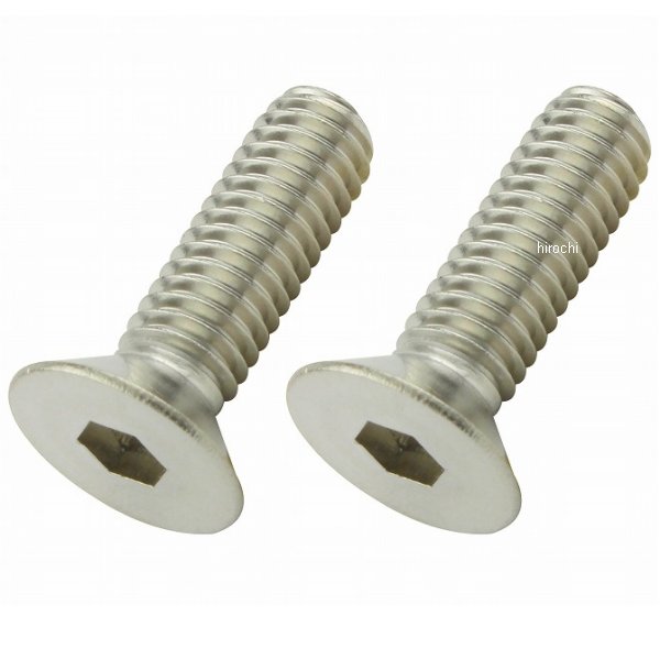 ポッシュ POSH 皿キャップボルト M6 20mm 2本入り ステンレス