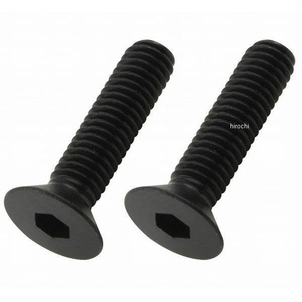 ポッシュ POSH 皿キャップボルト M6 25mm 2本入り 黒