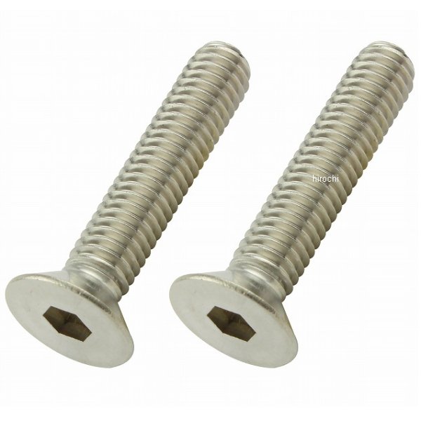 ポッシュ POSH 皿キャップボルト M6 30mm 2本入り ステンレス