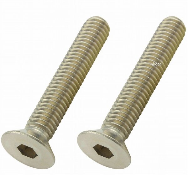 ポッシュ POSH 皿キャップボルト M6 35mm 2本入り ステンレス