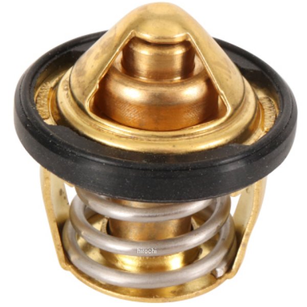 THERMOSTAT ポラリス