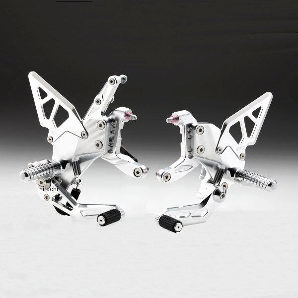 ステップキット ドゥカティ ストリートファイターV4 白