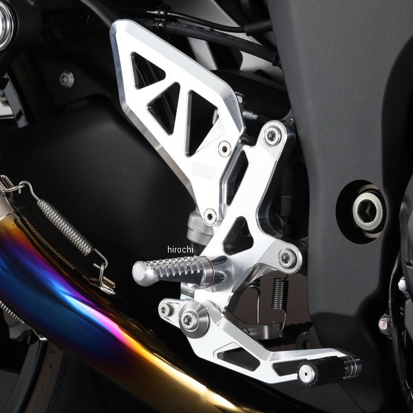 ステップ NINJA1000SX ポリッシュ