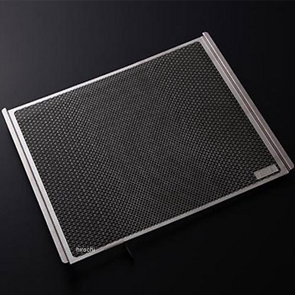 ラジエタープロテクター トライアンフ ストリート675 シルバー