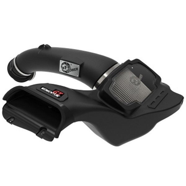 Momentum GT Pro DRY S Cold エアインテークシステム 2021+ フォード F-150 V-5.0L