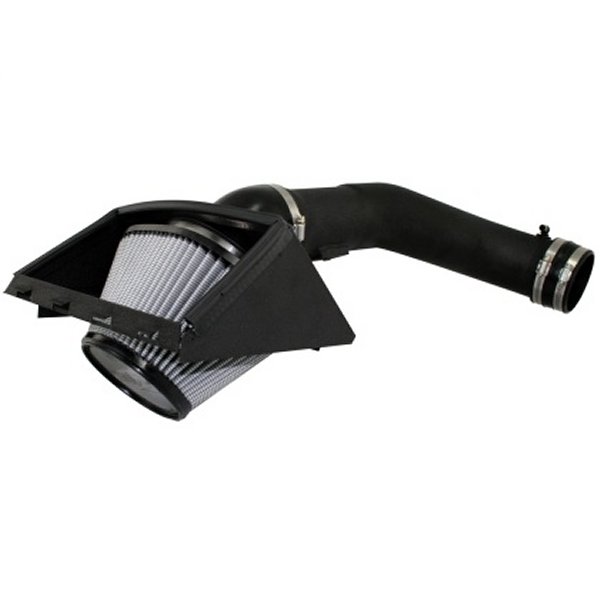 MagnumFORCE Intakes Stage-2 PDS AIS PDS フォード F-150 09-10 V8-4.6L 3-Valve (blk)