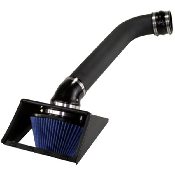 MagnumFORCE Intakes Stage-2 P5R AIS P5R フォード F-150 09-10 V8-5.4L (blk)