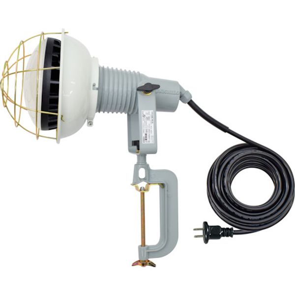 エコビックLED投光器50W 昼白色 2P10m