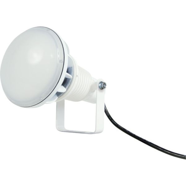 日動工業 日動 エコビックLED投光器50W 常設型 昼白色 電線1.5m 本体白