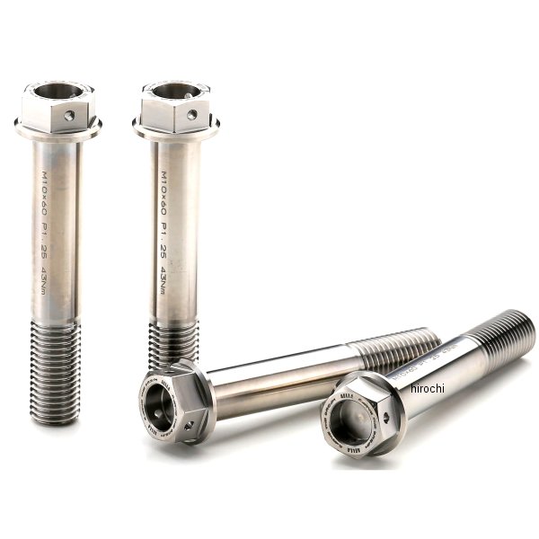 チタンボルト キャリパーマウント ドゥカティ モンスター1100、S M10/L53.5 P1.25