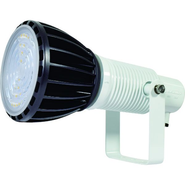 “エコビックLED投光器100W”(常設型)