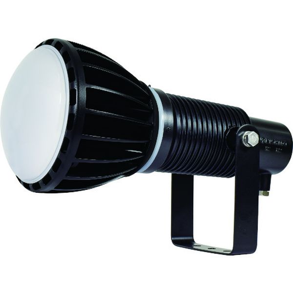 “エコビックLED投光器100W”(常設型)
