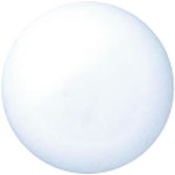 B160JW  260444カラーマグネット 30mm白10個