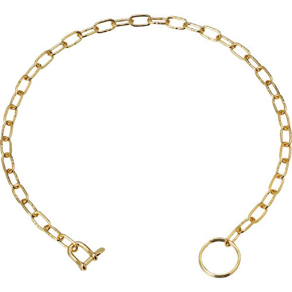 ステンレス ポケットチェーンSP型(ゴールド) 全長300mm