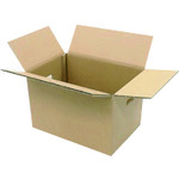 B242JL  330461)WF穴付ダンボール箱 大10枚