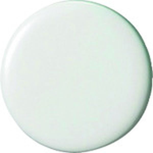 B271JW  354086両面強力カラーマグネット 30mm白 B271JW