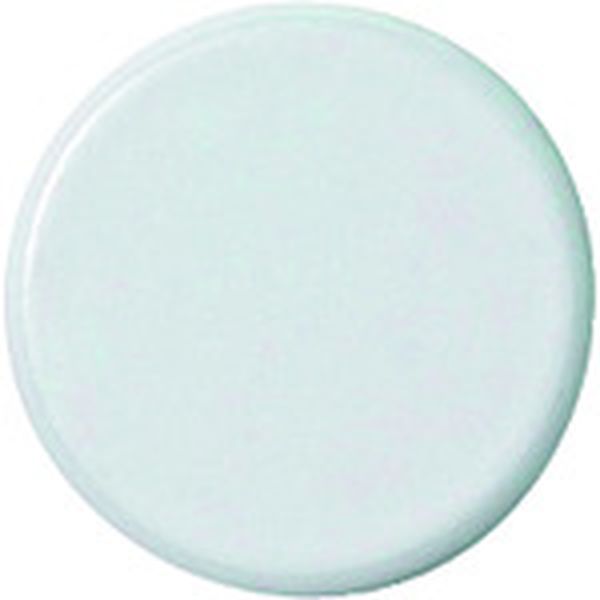 B273JW  354097強力カラーマグネット 塗装25mm白 B273JW