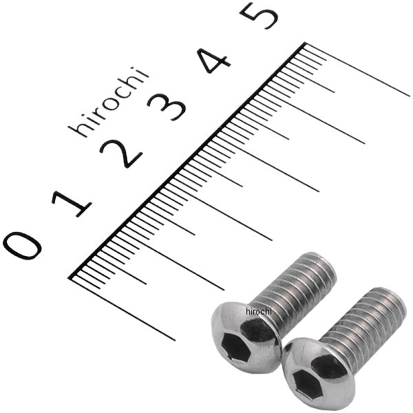 ボタンキャップ 1/4-20X5/8 2個入り