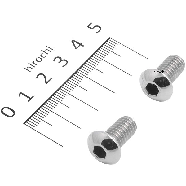 ボタンキャップ 5/16-18X5/8 2個入り