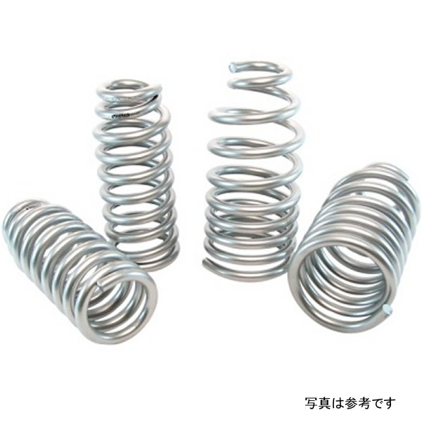MUSCLE CAR SPRING KITS BUICK 92-96 B-Body