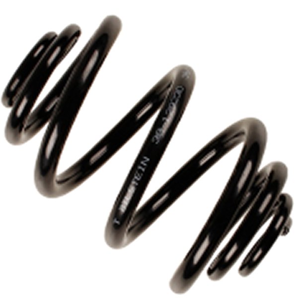 B3 98-06 BMW 3シリーズ Replacement リア Coil Spring