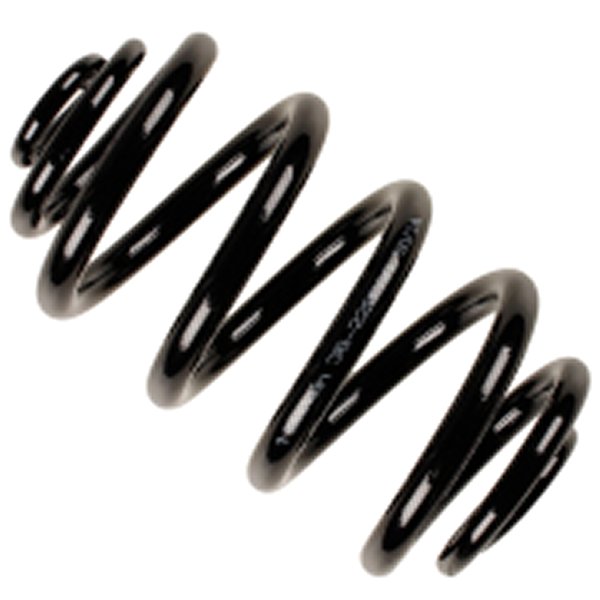 B3 04-10 BMW X3シリーズ Replacement リア Coil Spring