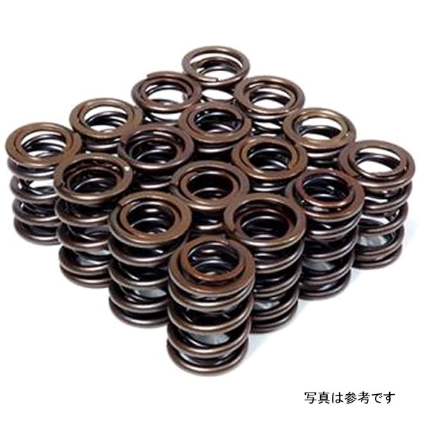 Dual Valve Springs for K20A2-3 Z1-3 (2.0L DOHC i-VTEC) / K24A-3 (2.4L DOHC i-VTEC)