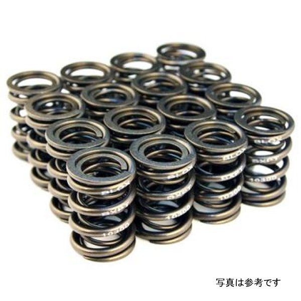Valve Springs for B18A-B / B20 (1.8L-2.0L DOHC)
