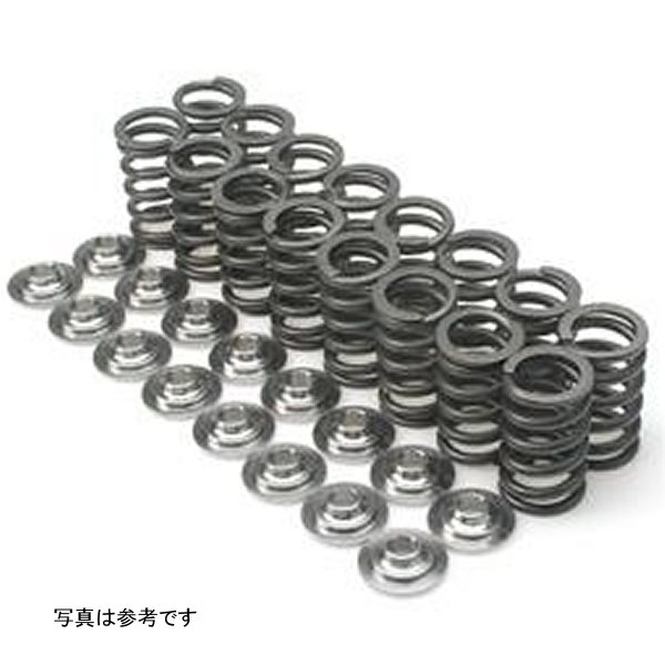 Nissan SR20VE Dual Spring & Titanium リテーナーキット