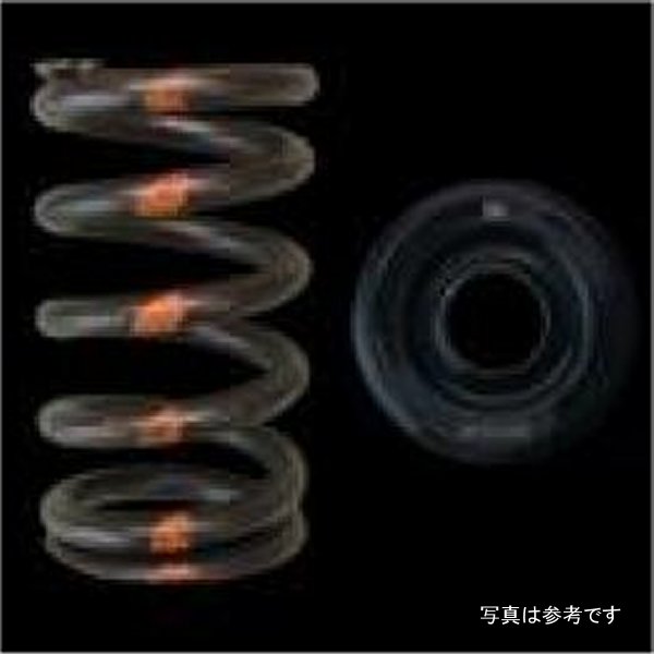 Mazda MZR Valve Spring & Retainer - Steel Retainers