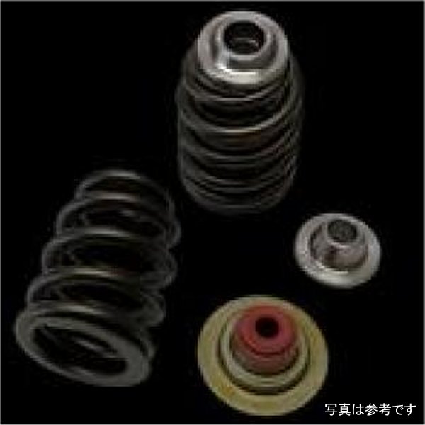 Can-Am X3 Rotax 900 Ace Beehive Spring/Steel Retainer/Seat w/ Seal Kit