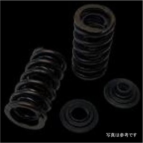 Dual Spring/Steel Retainer/Seat Kit - Yamaha YXZ / Sidewinder / Arctic Cat XX