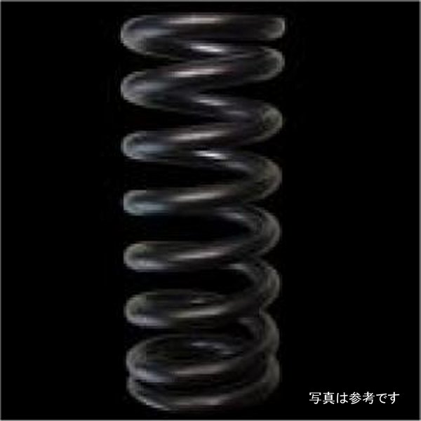 Honda L15 Single Valve Springs (Set of 16)