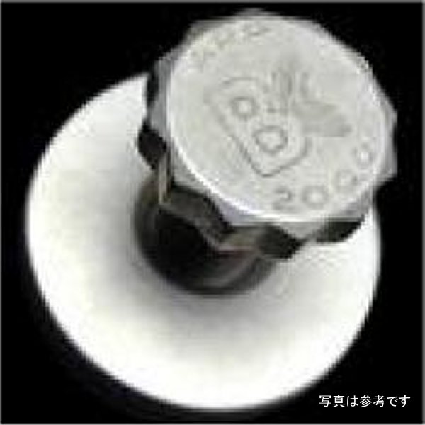 トヨタ 2JZ/1JZ カムギア Bolt w/ Washer