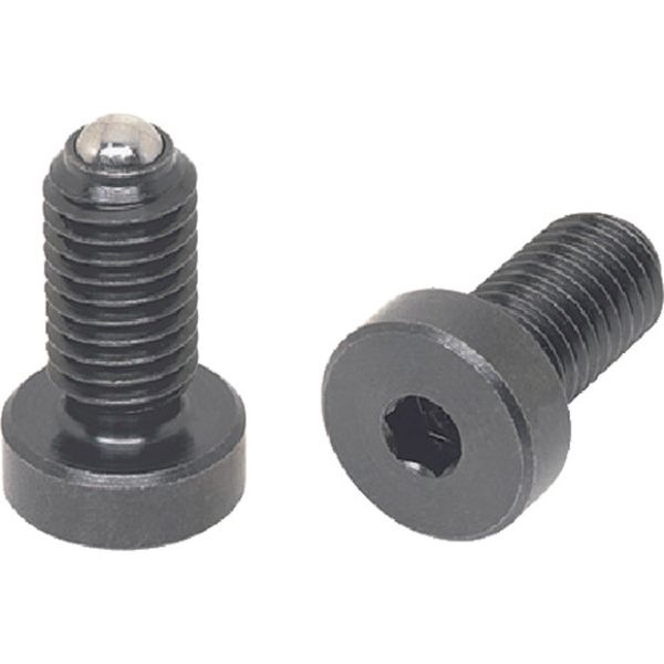 806-0013  ボールプランジャーキャップタイプ