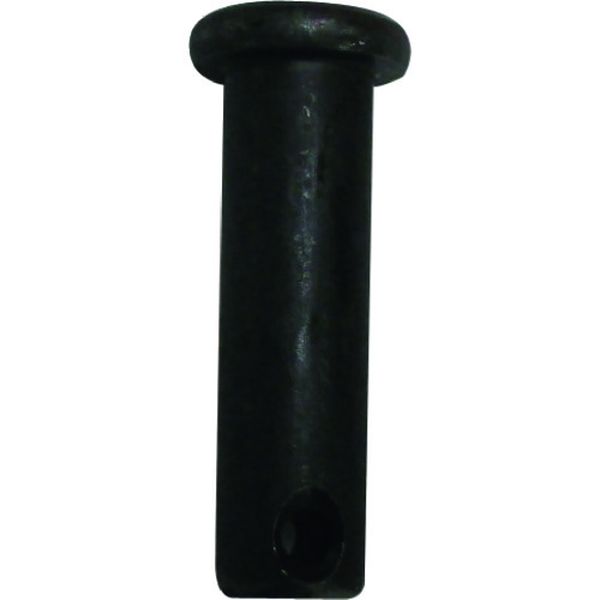 チェーンブロックM3形用部品 カナグピン