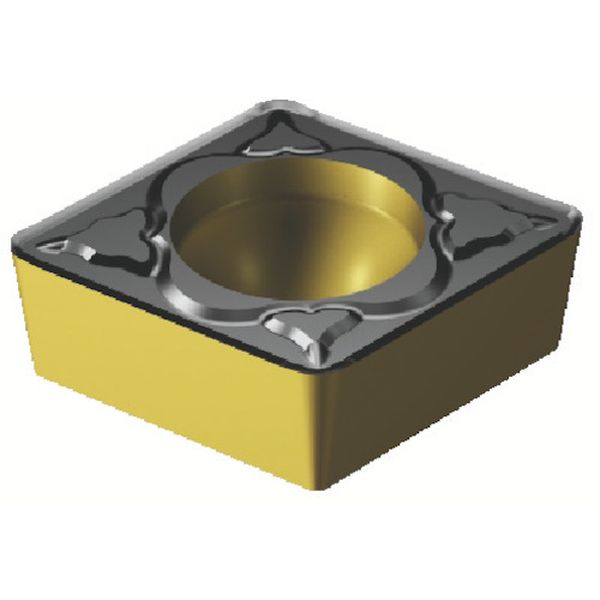 09T308PM   コロターン107チップ 4305 10個入り