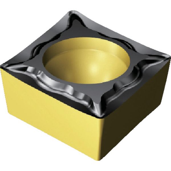 09T308UM   コロターン107チップ COAT 10個入り