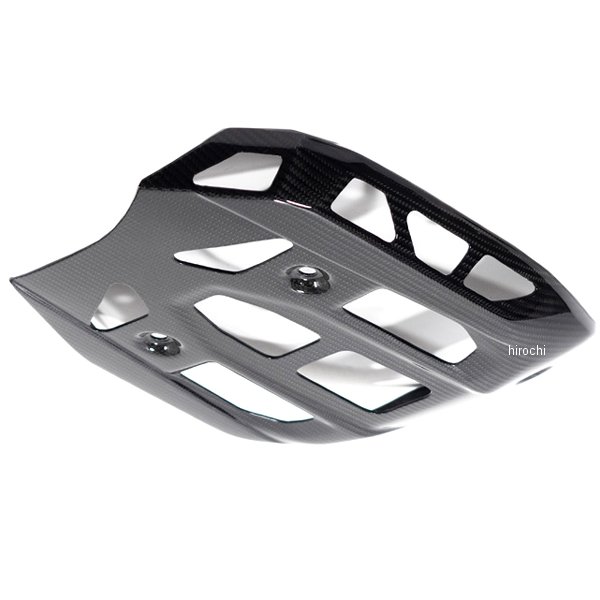 サンプガード 艶あり 23年-24年 R1300GS カーボングロッシー