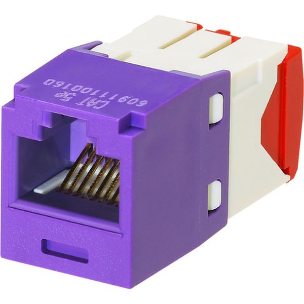 カテゴリ5E RJ45モジュラージャック UTP TGタイプ 紫
